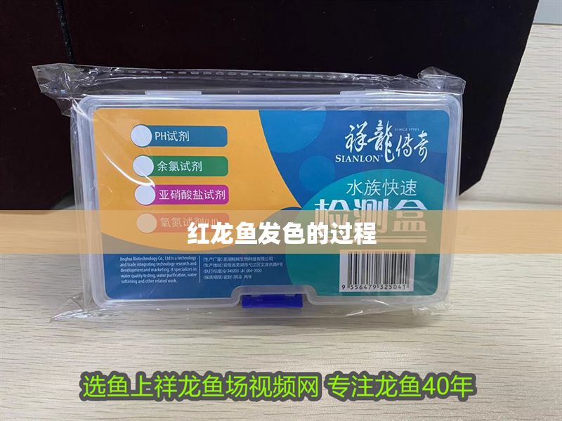 紅龍魚發(fā)色的過程