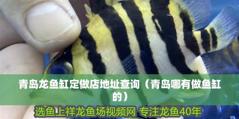 青島龍魚缸定做店地址查詢（青島哪有做魚缸的）
