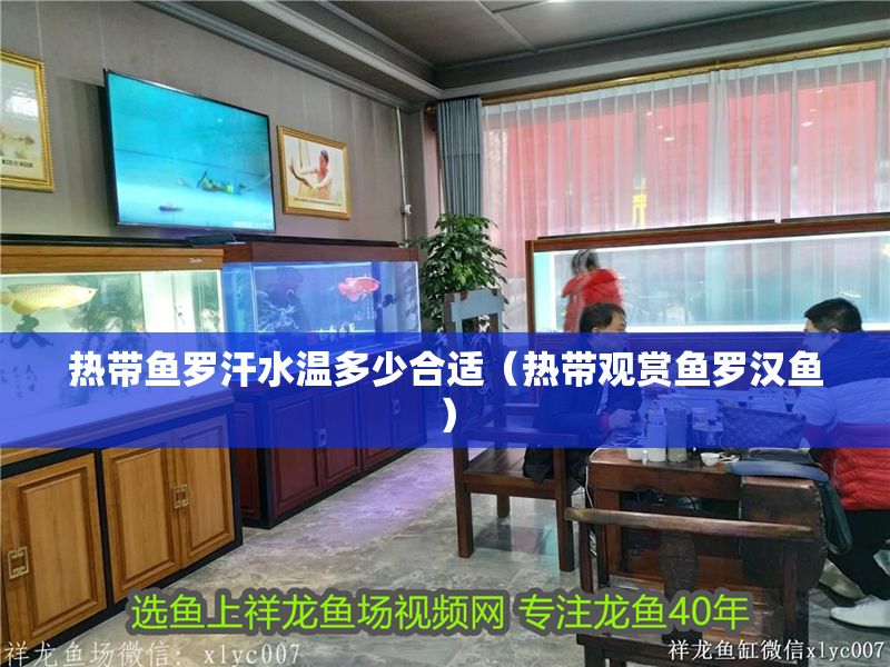 熱帶魚羅汗水溫多少合適（熱帶觀賞魚羅漢魚） 熱帶魚羅汗水溫多少合適（熱帶觀賞魚羅漢魚） 龍魚百科 第1張