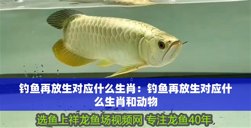 釣魚再放生對應什么生肖：釣魚再放生對應什么生肖和動物