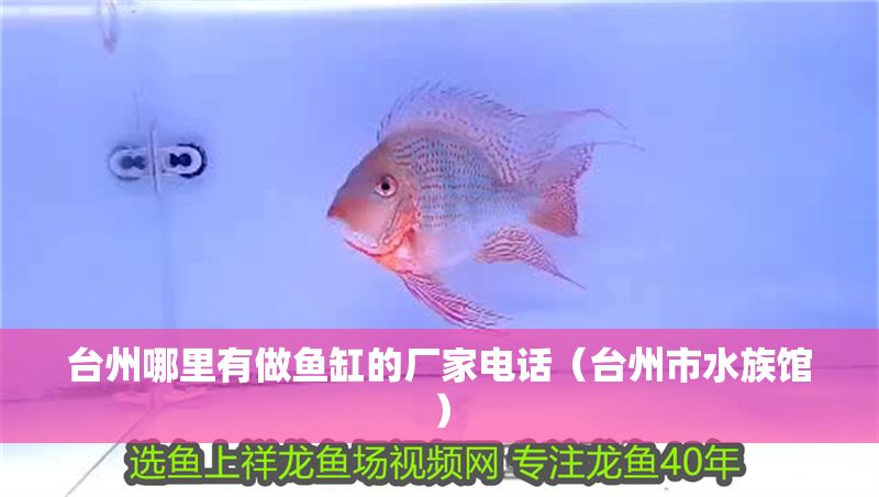 臺州哪里有做魚缸的廠家電話（臺州市水族館）
