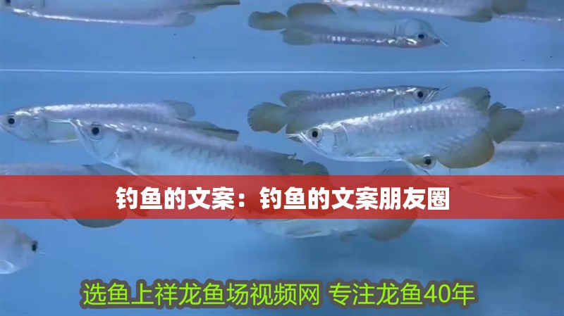 釣魚的文案：釣魚的文案朋友圈