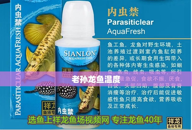 老孫龍魚溫度