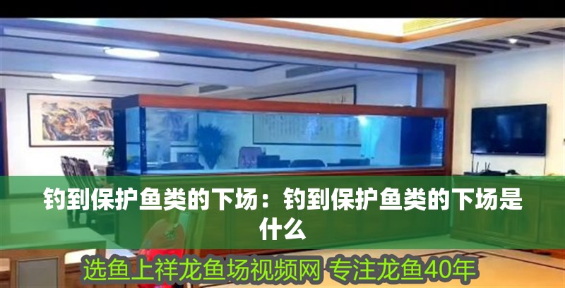 釣到保護魚類的下場:釣到保護魚類的下場是什么