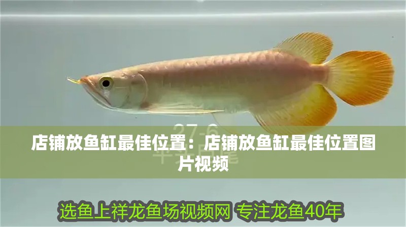 店鋪放魚缸最佳位置：店鋪放魚缸最佳位置圖片視頻