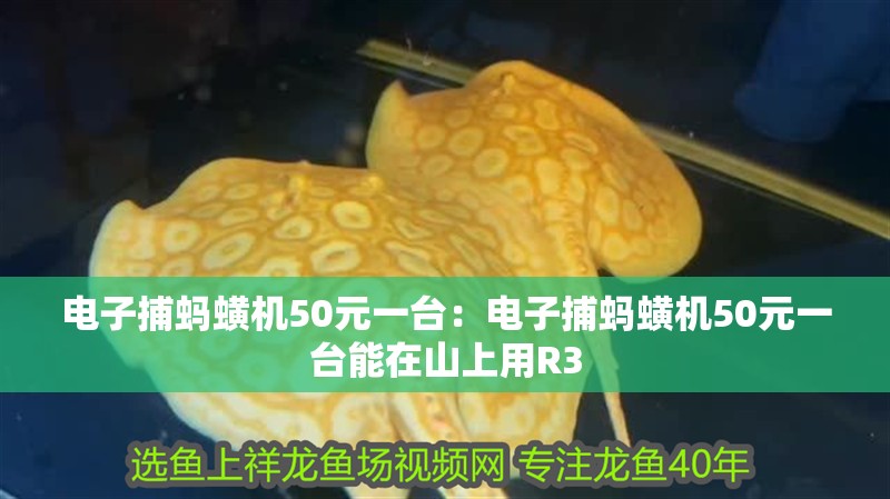 電子捕螞蟥機50元一臺：電子捕螞蟥機50元一臺能在山上用R3