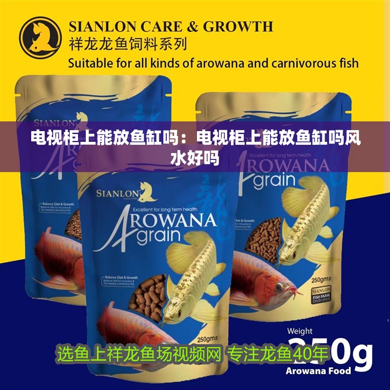 電視柜上能放魚缸嗎：電視柜上能放魚缸嗎風水好嗎