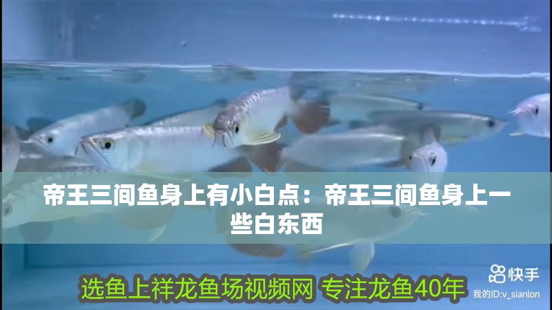 帝王三間魚身上有小白點：帝王三間魚身上一些白東西