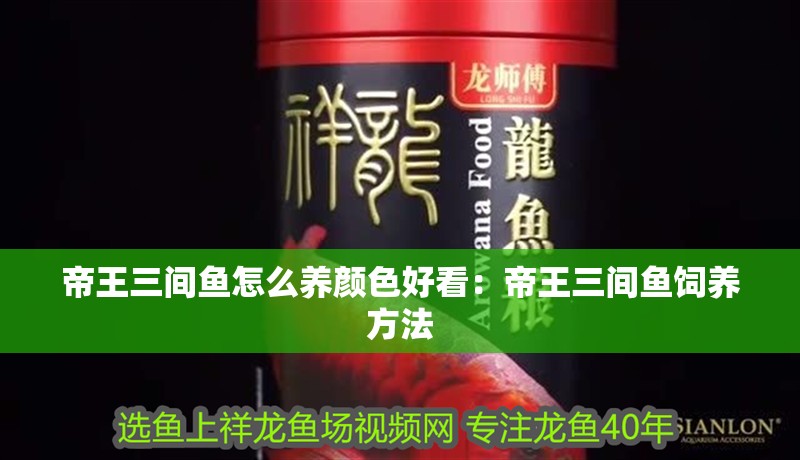 帝王三間魚怎么養顏色好看：帝王三間魚飼養方法