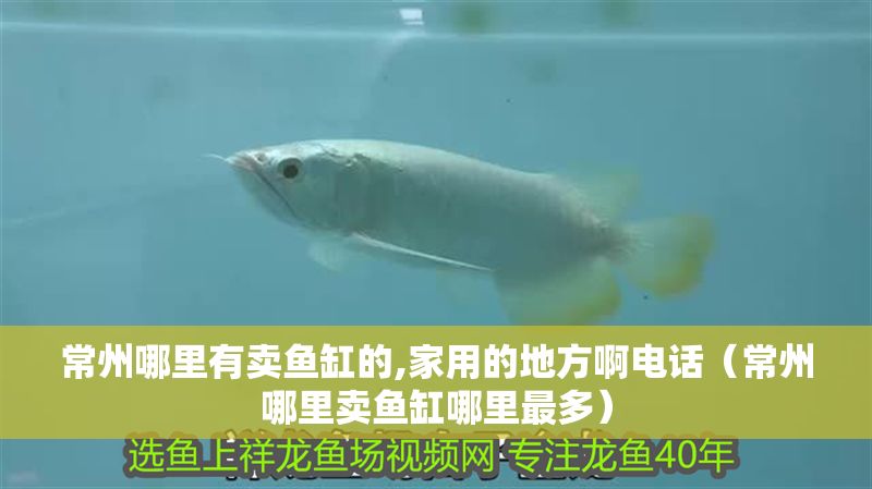 常州哪里有賣魚缸的,家用的地方啊電話（常州哪里賣魚缸哪里最多）