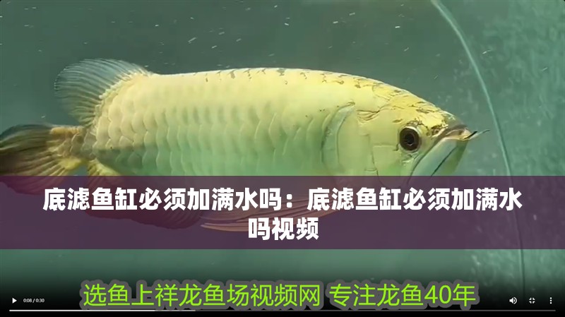 底濾魚缸必須加滿水嗎：底濾魚缸必須加滿水嗎視頻
