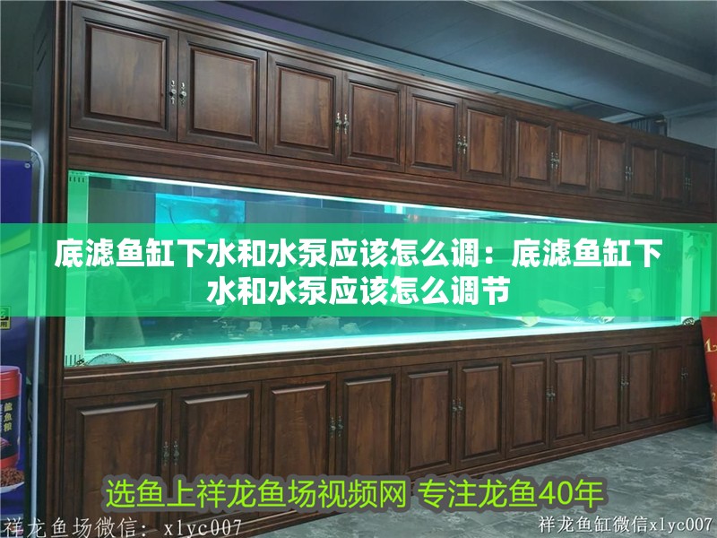 底濾魚缸下水和水泵應該怎么調：底濾魚缸下水和水泵應該怎么調節