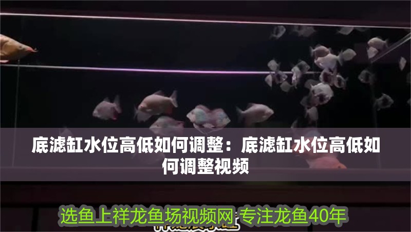 底濾缸水位高低如何調整：底濾缸水位高低如何調整視頻