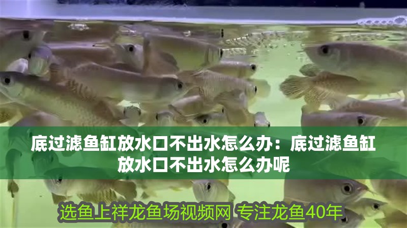 底過濾魚缸放水口不出水怎么辦：底過濾魚缸放水口不出水怎么辦呢 底過濾魚缸放水口不出水怎么辦：底過濾魚缸放水口不出水怎么辦呢 龍魚百科 第2張