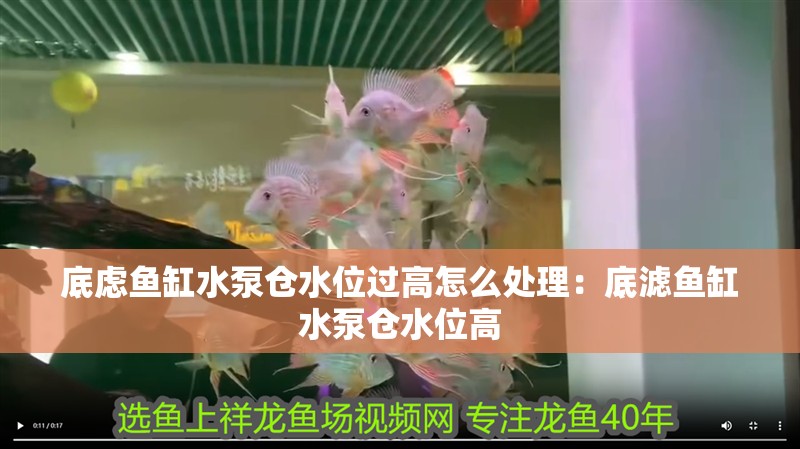 底慮魚缸水泵倉水位過高怎么處理：底濾魚缸水泵倉水位高