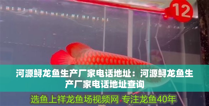 河源鱘龍魚生產廠家電話地址：河源鱘龍魚生產廠家電話地址查詢