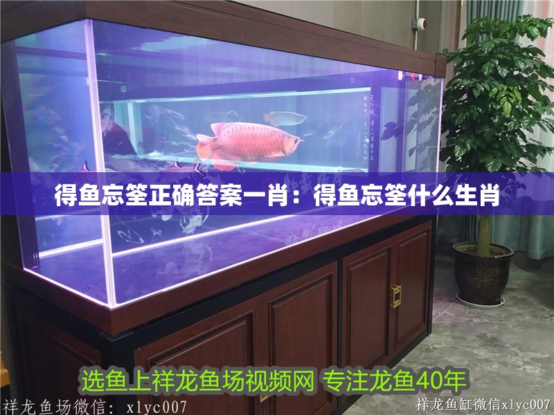 得魚忘筌正確答案一肖：得魚忘筌什么生肖