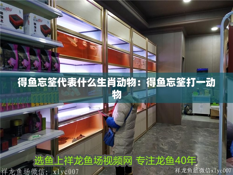 得魚忘筌代表什么生肖動物：得魚忘筌打一動物