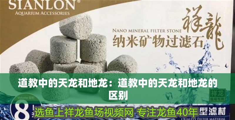 道教中的天龍和地龍：道教中的天龍和地龍的區(qū)別