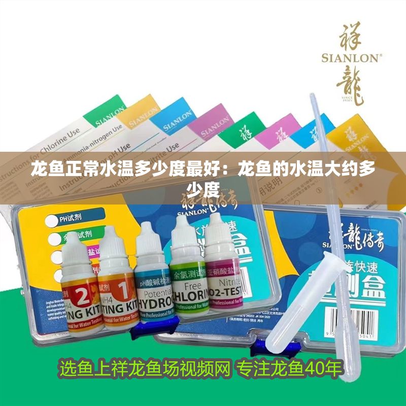 龍魚正常水溫多少度最好：龍魚的水溫大約多少度