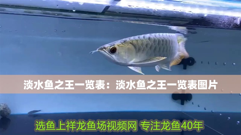 淡水魚(yú)之王一覽表：淡水魚(yú)之王一覽表圖片