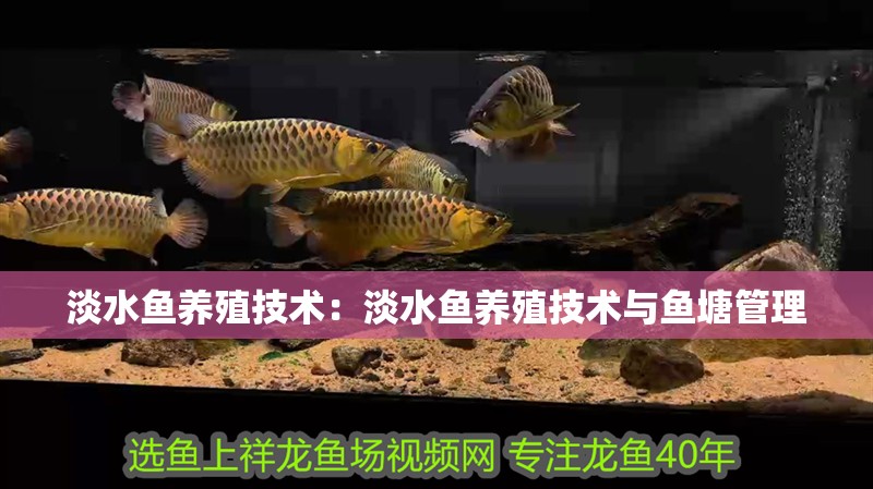 淡水魚養殖技術：淡水魚養殖技術與魚塘管理