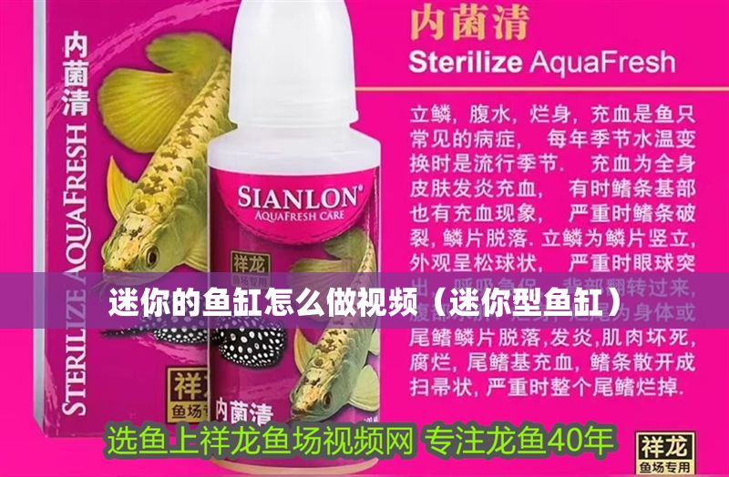 迷你的魚缸怎么做視頻（迷你型魚缸）