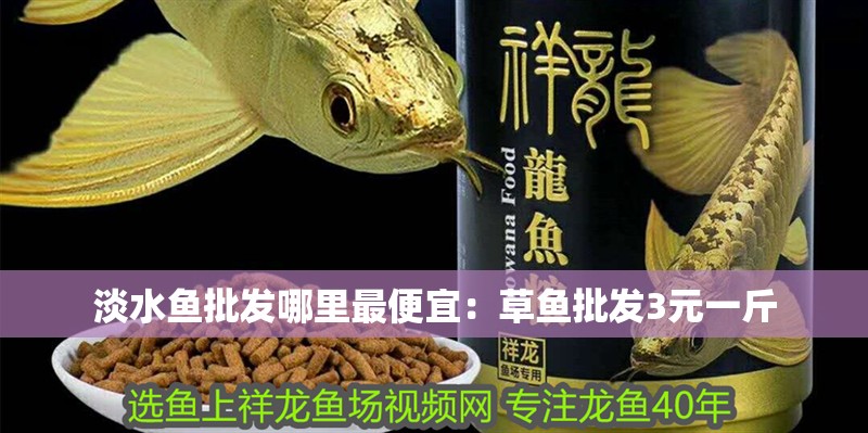 淡水魚批發哪里最便宜：草魚批發3元一斤