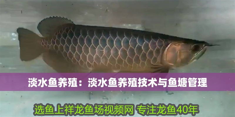 淡水魚養殖：淡水魚養殖技術與魚塘管理