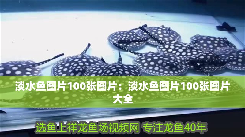 淡水魚(yú)圖片100張圖片：淡水魚(yú)圖片100張圖片大全