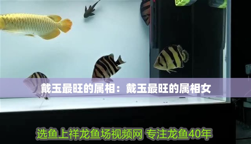 戴玉最旺的屬相：戴玉最旺的屬相女