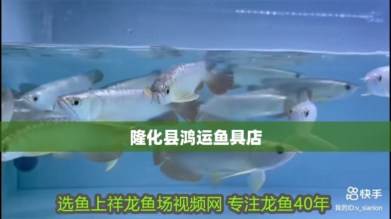 隆化縣鴻運魚具店 全國水族館企業名錄 第2張 隆化縣鴻運魚具店 隆化縣鴻運魚具店 全國水族館企業名錄 第2張