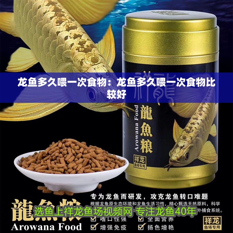 龍魚多久喂一次食物：龍魚多久喂一次食物比較好