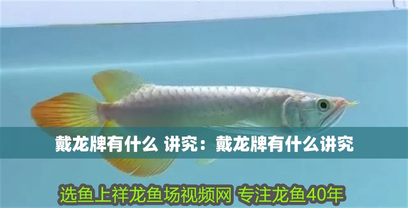 戴龍牌有什么 講究：戴龍牌有什么講究