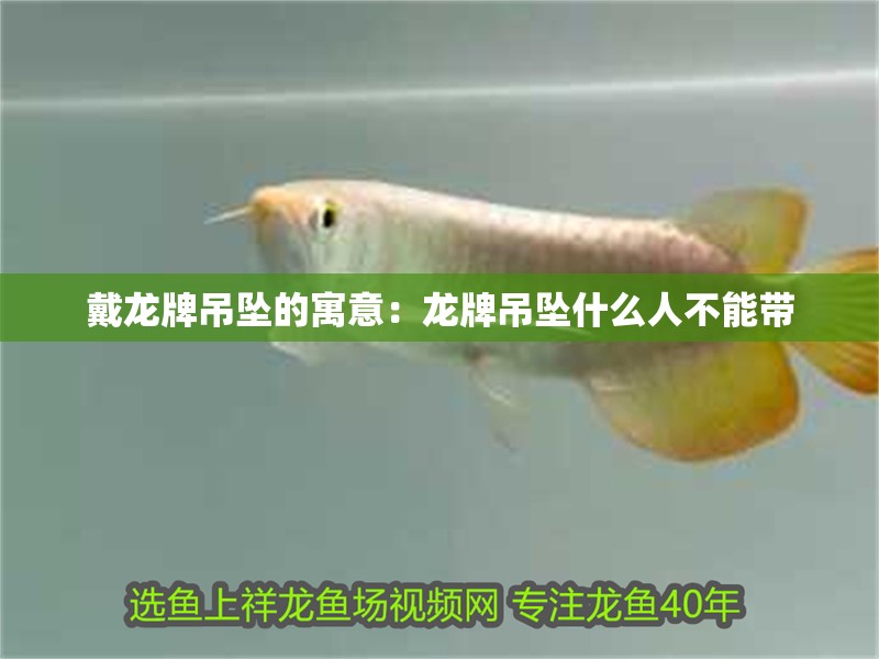 戴龍牌吊墜的寓意：龍牌吊墜什么人不能帶
