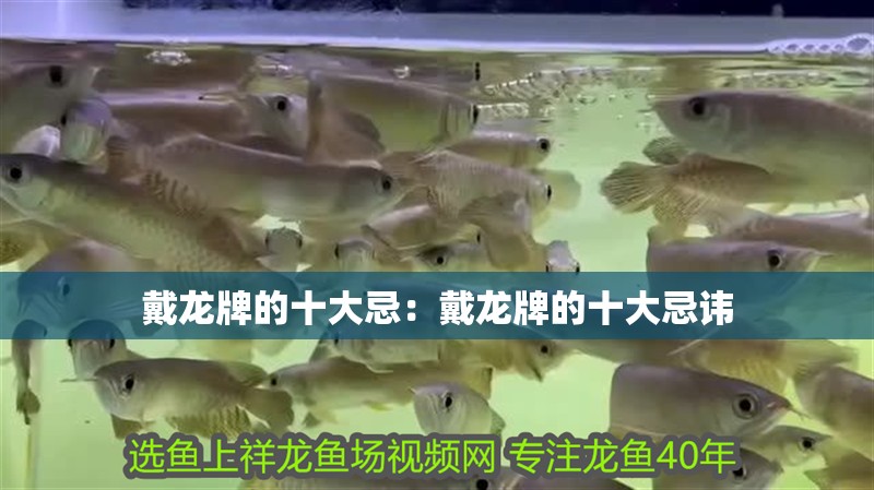 戴龍牌的十大忌：戴龍牌的十大忌諱