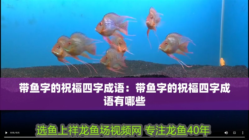帶魚字的祝福四字成語：帶魚字的祝福四字成語有哪些