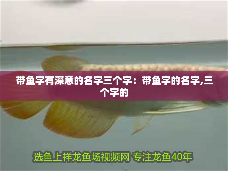 帶魚(yú)字有深意的名字三個(gè)字：帶魚(yú)字的名字,三個(gè)字的