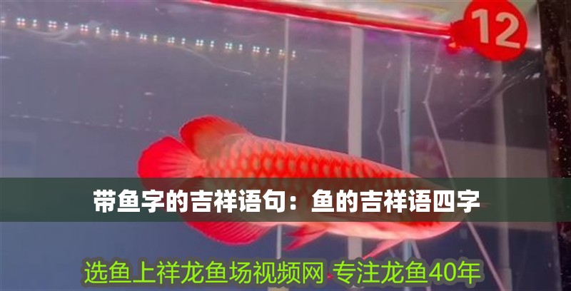 帶魚字的吉祥語句：魚的吉祥語四字