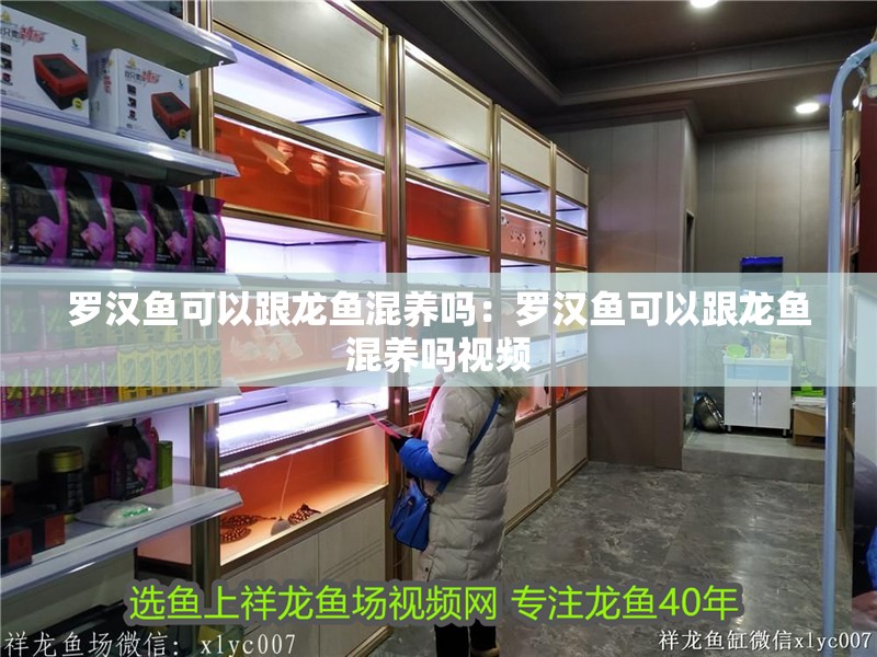 羅漢魚可以跟龍魚混養嗎：羅漢魚可以跟龍魚混養嗎視頻