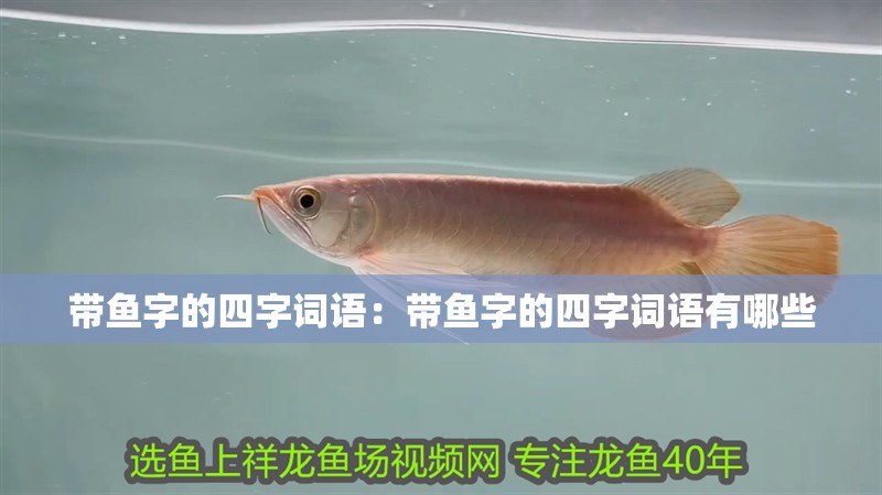 帶魚字的四字詞語：帶魚字的四字詞語有哪些