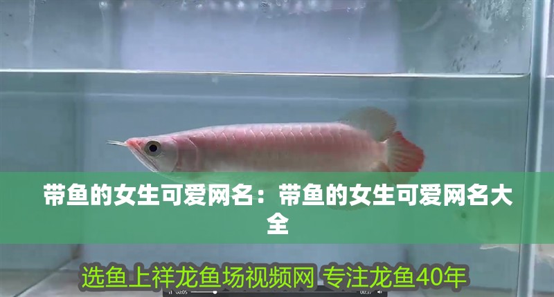 帶魚的女生可愛網名：帶魚的女生可愛網名大全