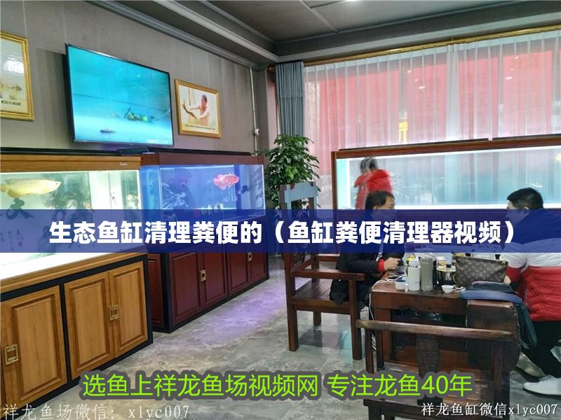 生態魚缸清理糞便的（魚缸糞便清理器視頻）