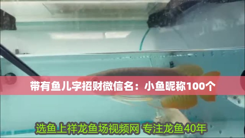 帶有魚兒字招財微信名：小魚昵稱100個