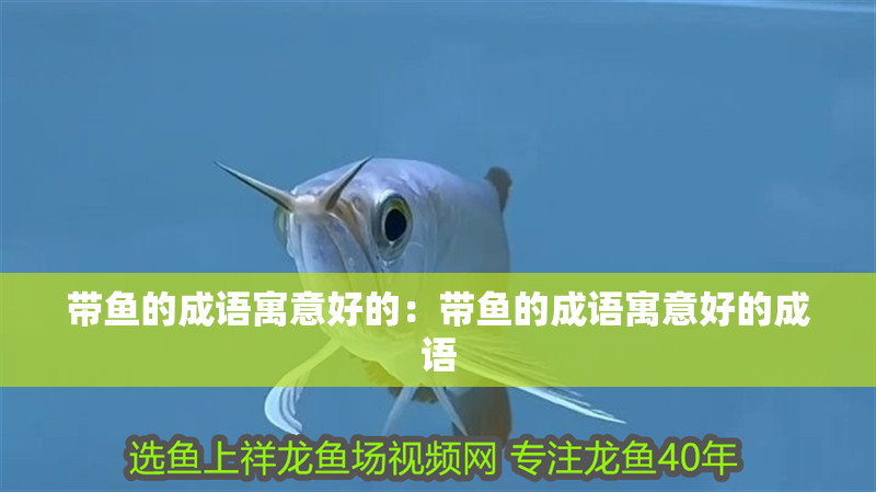 帶魚的成語寓意好的：帶魚的成語寓意好的成語