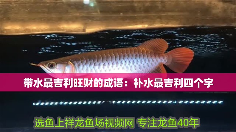 帶水最吉利旺財的成語：補水最吉利四個字