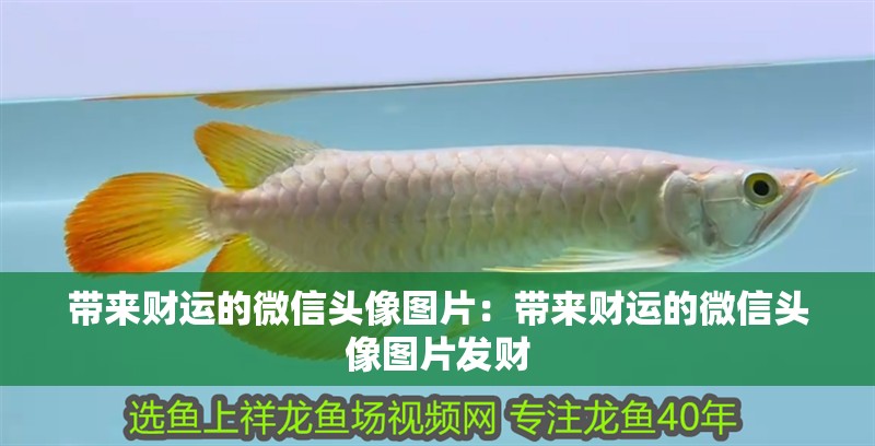 帶來財(cái)運(yùn)的微信頭像圖片：帶來財(cái)運(yùn)的微信頭像圖片發(fā)財(cái)