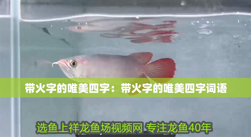 帶火字的唯美四字：帶火字的唯美四字詞語
