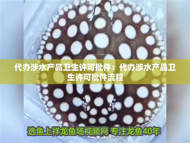 代辦涉水產品衛生許可批件：代辦涉水產品衛生許可批件流程