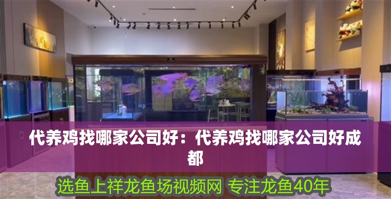 代養雞找哪家公司好：代養雞找哪家公司好成都